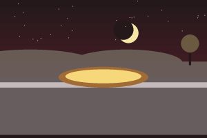 فروش باغ ۸۰۷۰ متری در فین