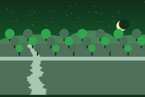 فروش باغ ۷۱۹۷ متری در کند