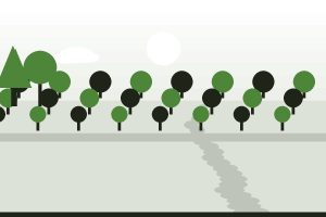فروش زمین ۸۸۹ متری در کند